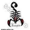 perfil SCORPIONROJO29