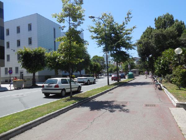 Foto 1 del Relato erotico: Apoyado al árbol en los jardines de Méndez Núñez. 