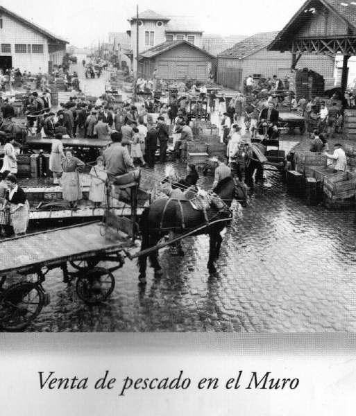 Foto 2 del Relato erotico: Follado por el gitano y sus colegas 